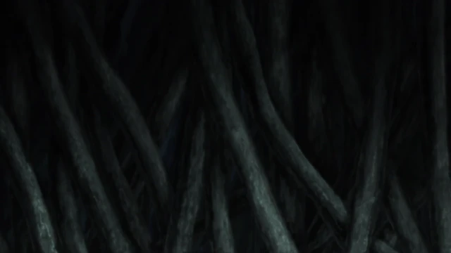 Episódio 52