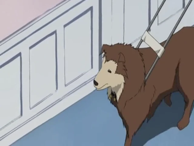 Episódio 06