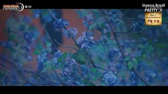 Episódio 12