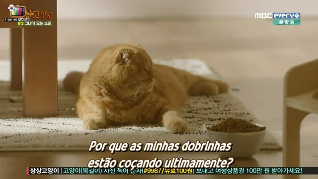 Episódio 01