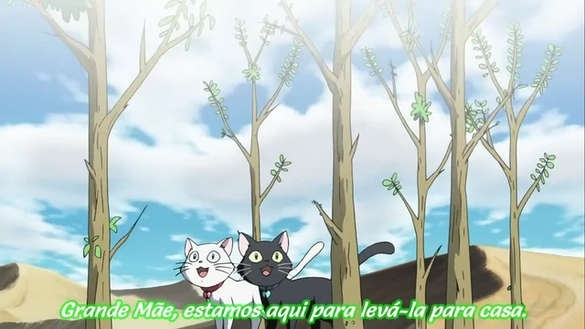 Episódio 26