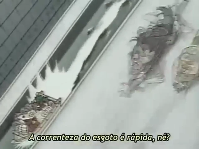 Episódio 31