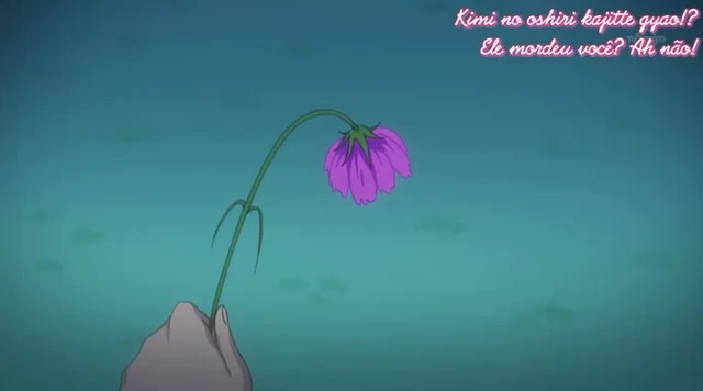 Episódio 31