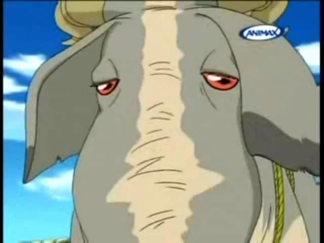 Episódio 10
