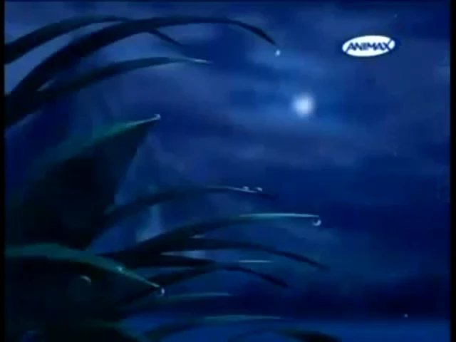 Episódio 17