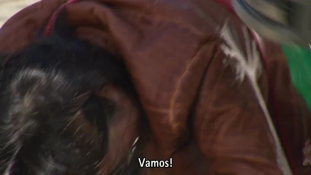 Episódio 36