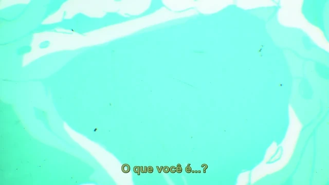 Episódio 01