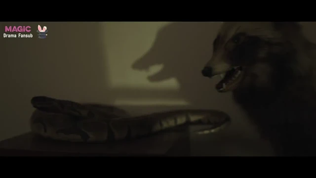 Episódio 10