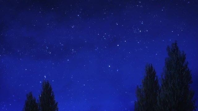 Episódio 08