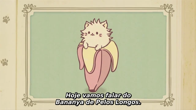 Episódio 08