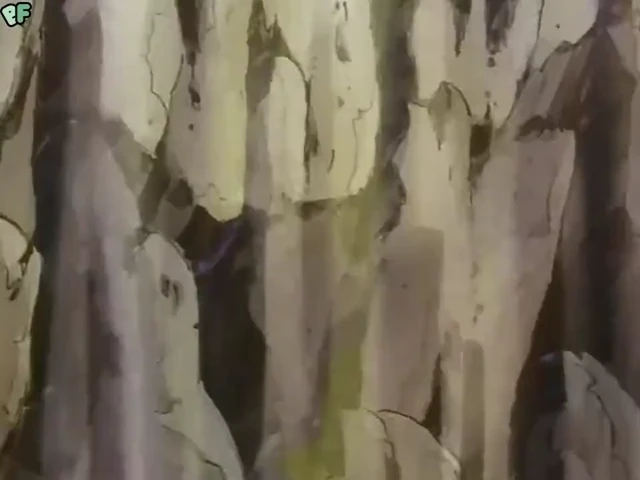 Episódio 105