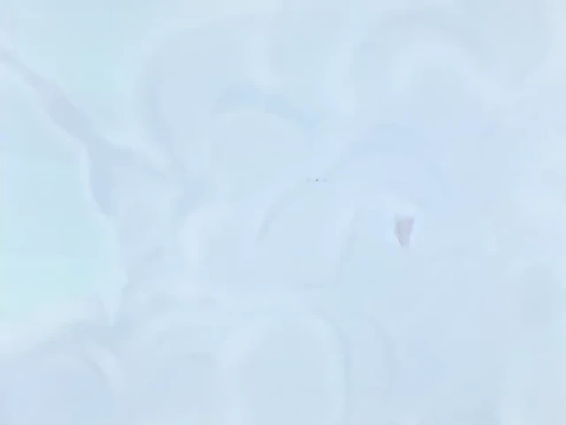 Episódio 16
