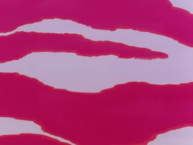 Episódio 08