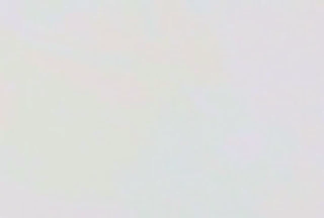 Episódio 29