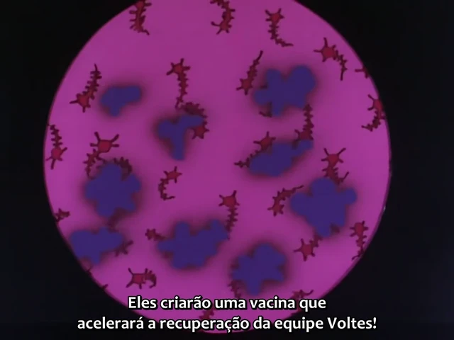 Episódio 33