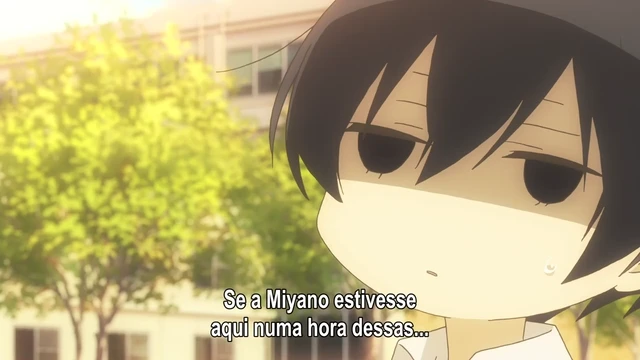 Episódio 12