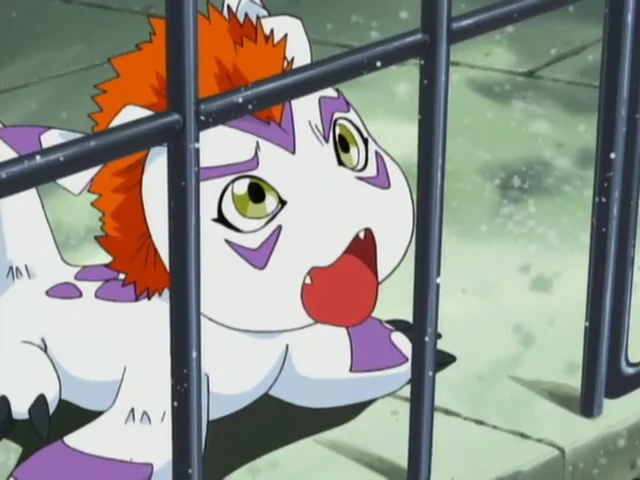 Episódio 11