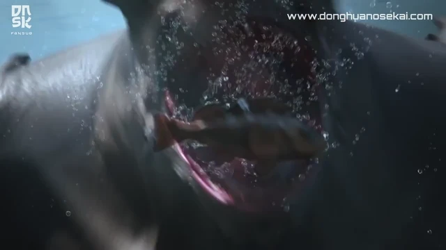 Episódio 08