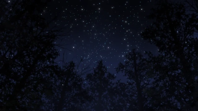 Episódio 11