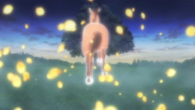 Episódio 11