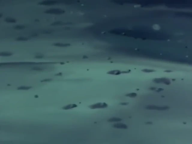 Episódio 16