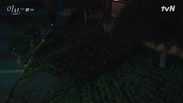 Episódio 15