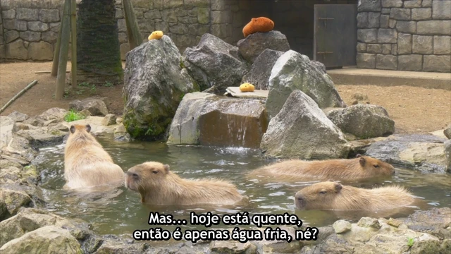 Episódio 07