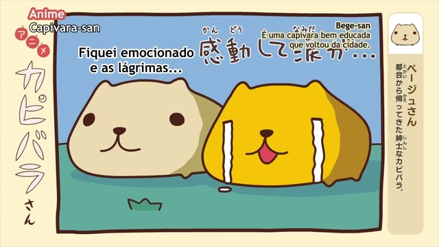 Episódio 22