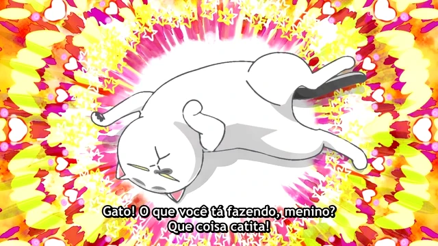 Episódio 13