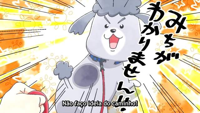 Episódio 21