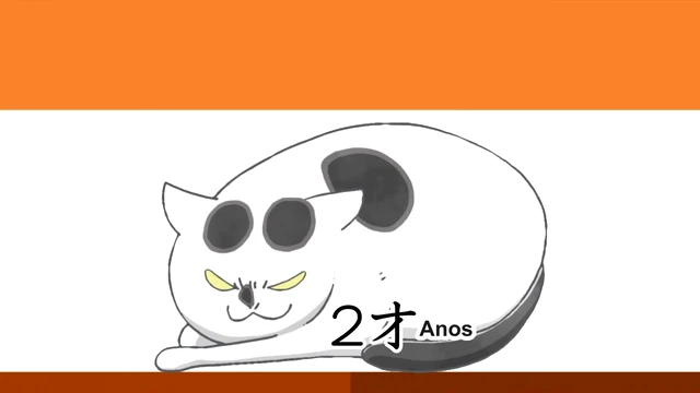 Episódio 24