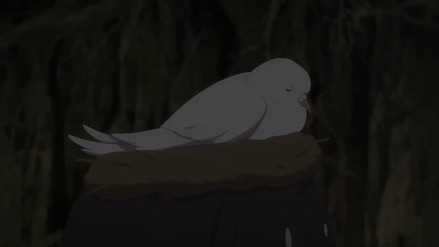 Episódio 08