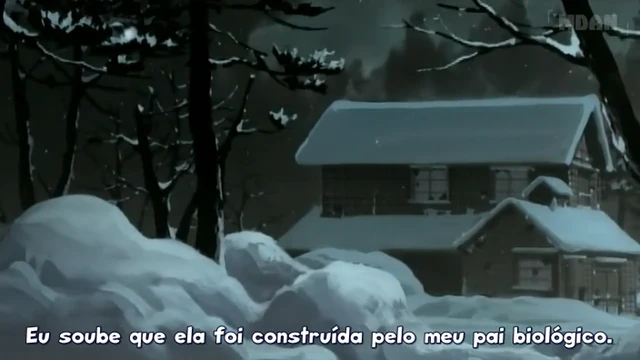 Episódio 24