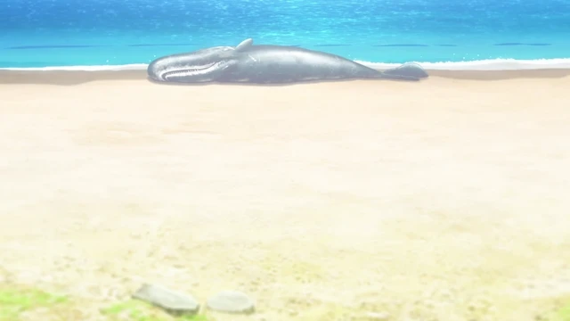 Episódio 24