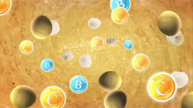 Episódio 11