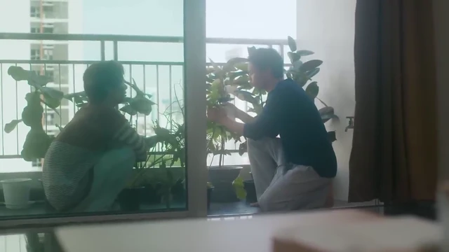 Episódio 12