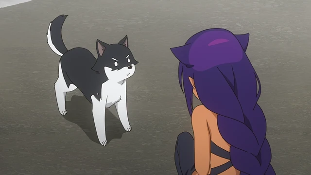 Episódio 12
