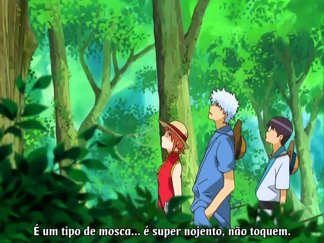 Episódio 65