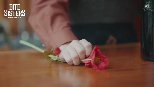 Episódio 04