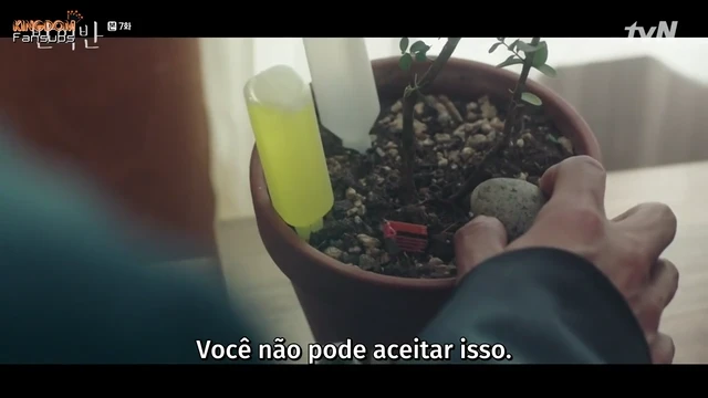 Episódio 07
