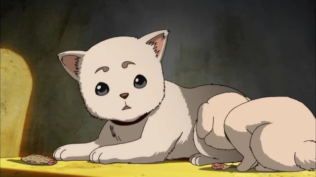 Episódio 13