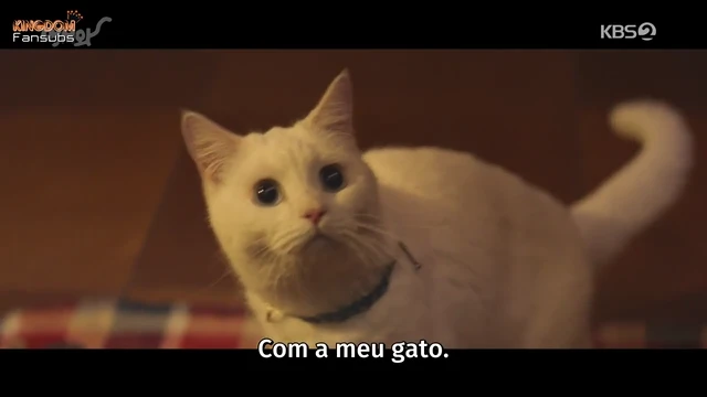 Episódio 11,12