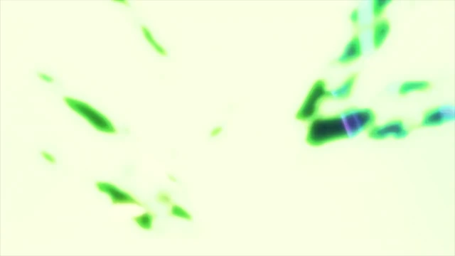 Episódio 03