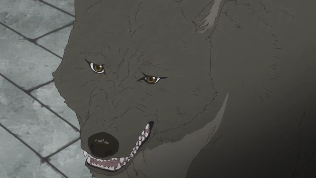 Episódio 07