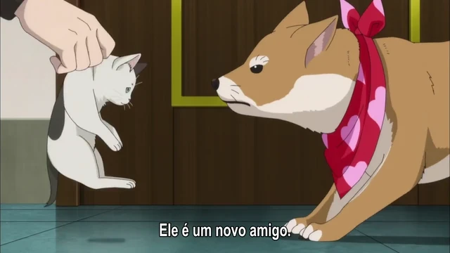 Episódio 01