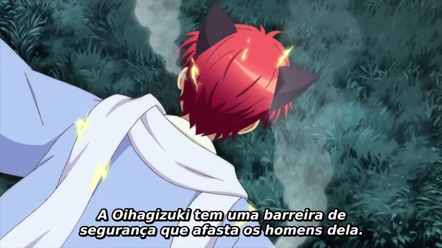 Episódio 23