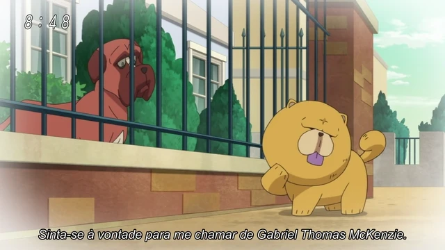 Episódio 42