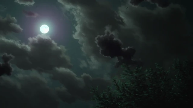 Episódio 14