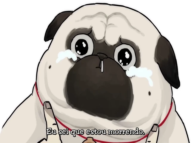 Episódio 07