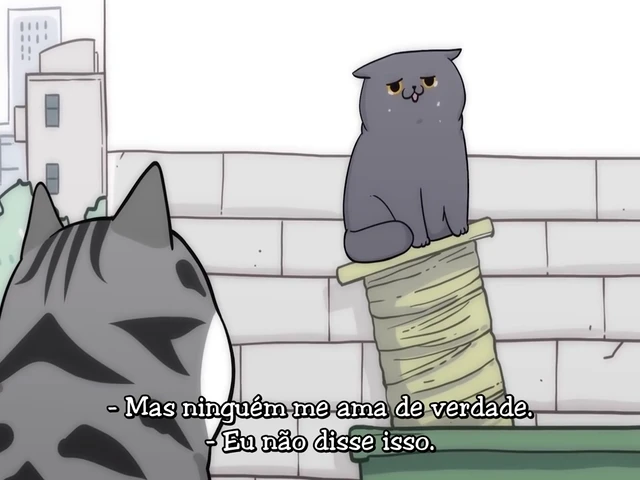 Episódio 13